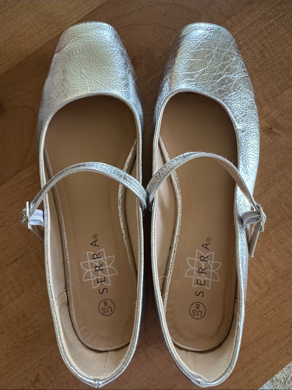 Serra Metallic Silver Mary Jane Flats with Strap